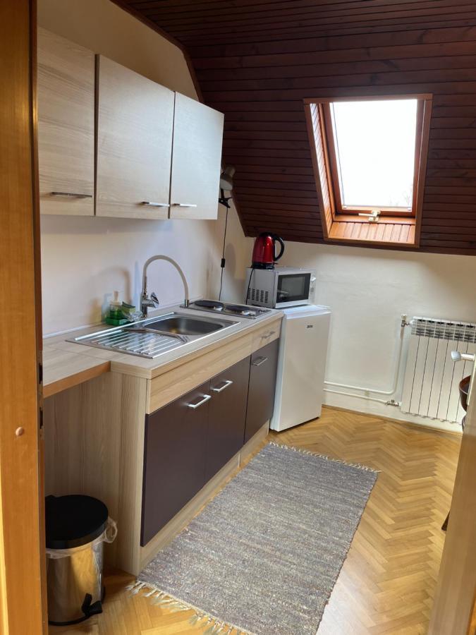 Cozzy Apartment In Nature 萨格勒布 外观 照片